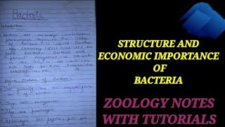 STRUCTURE AND ECONOMIC IMPORTANCE OF BACTERIA bacteriainhindi zoologynotes bacteria biology cel [upl. by Hills26]