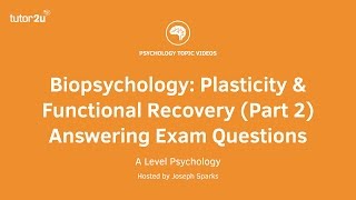 Revision Webinar Biopsychology – Plasticity amp Functional Recovery Part 2 Answering Exam Questions [upl. by Amolap]