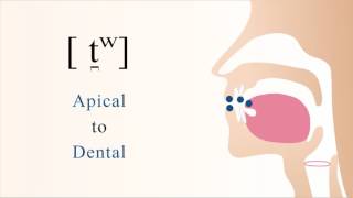 t̪ʷ  unvoiced unaspirated labialized apical dental stop [upl. by Gayler232]