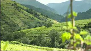 Wachau [upl. by Season997]