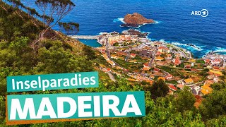 Madeira – AussteigerParadies im Atlantik  ARD Reisen [upl. by Yllah]