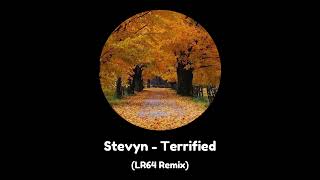 Stevyn  terrified LR64 Remix [upl. by Afrikah]