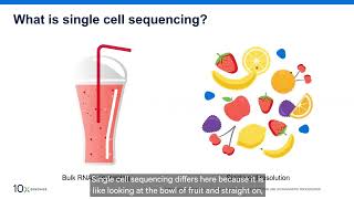 1 What is single cell and why does it matter [upl. by Noslrac]