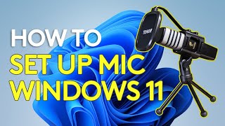 How to setup a microphone on windows 11 [upl. by Maximilianus]