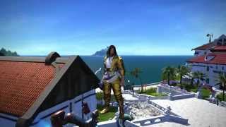 FFXIV ARR GSM metallic gold dyed look [upl. by Alael]