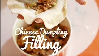 Chinese Dumpling Filling Recipe  Wrapping techniques  Boiling technique [upl. by Eerat]