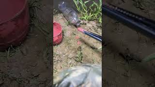 My effective way to catch eels part 10 countryside nature 4kvideo [upl. by Ajssatsan117]