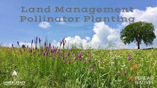 Deer Management on Small Parcels  Planting Bedding [upl. by Siegfried]