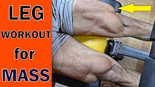 Full Leg Workout Top 5 Exercise for MASS [upl. by Ymmas226]