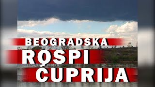 ROSPI ĆUPRIJA  TRAGIČNO IME JEDNOG DELA BEOGRADA  GRADOLOGIJA 2011 [upl. by Aihsas]