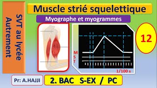 Muscle strié squelettique Myogrammes secousse musculaire rhéobase et phénomène de recrutement [upl. by Nemsaj]