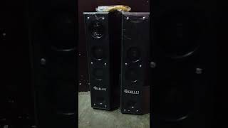 Bencley FRIDOBLE Double Tower 120 W Bluetooth Tower speaker 🔊🔊👍🏻 [upl. by Ahsocin635]