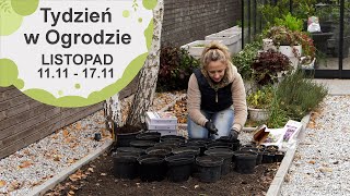 Listopad w ogrodzie Kalendarz ogrodnika na 0411  1011 Prace ogrodnicze w listopadzie [upl. by Lahsram]