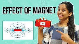 Effect of Magnet  Magnet  Grade 6 Science experiments  Science for kids  Sparkle Box [upl. by Ursal]