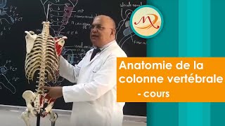 Anatomie de la colonne vertébrale cours [upl. by Einolem]