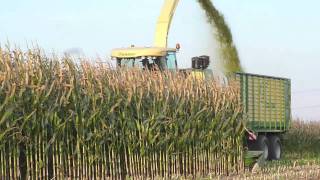 Krone BIG X 1100  700  500  V8 Demo Oirschot [upl. by Ordnaxela]