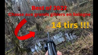 Chasse sanglier 2022  Best of  Chasse en Sologne [upl. by Catlin]