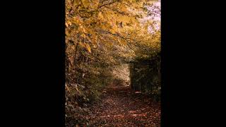 Herbstbild  Gedicht von Friedrich Hebbel [upl. by Berg626]