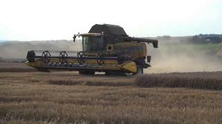 Weizenernte 2014 mit New Holland CX 8080 [upl. by Gleason933]