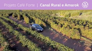 Projeto Café Forte  Canal Rural amp Amarok 2020 [upl. by Aun]