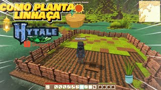 COMO PLANTAR LINHAÇA NO HYTALE DA SHOPEE [upl. by Whorton789]