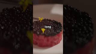 The Caviar Obsession A Luxury You Cant Afford shorts interestingfacts [upl. by Staal]