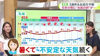 北海道【菅井さんの天気予報 86火】ひまわりと飛行機のコラボ！女満別空港近くに46万本の花畑 お盆期間まで楽しめそう [upl. by Siblee]