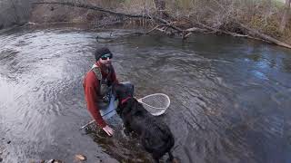 Mokelumne Fishing [upl. by Cis]