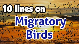 migratory birds short notes 10 lines on migratory birds in India migratory birds essay in English [upl. by Ramaj]