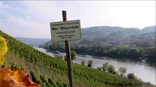 COCHEM  De Moezel wandelen op de Apolloweg vanaf CochemCond [upl. by Etienne]