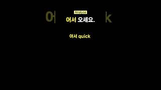 quotUnderstanding 어서 오세요 The Warm Korean Greeting for Welcomequot [upl. by Kiersten]