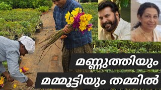 മണ്ണുത്തിയിൽ ചെടികൾ വാങ്ങാൻ വരുന്നതാരൊക്കെ gardening ❤️buyplants [upl. by Nalad]