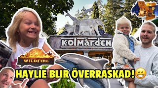 TJEJERNA VAR MED I DELFINSHOWEN 🐬  VLOGG  PRANK SMINKNING 😄 [upl. by Clim]