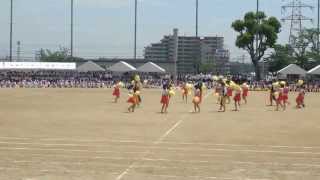 雲雀丘学園中高等学校2013年 体育大会 高3G [upl. by Noach]