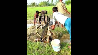 engine water pump machine amazing start Farmer Agriculture WaterPump 12hplisterdieselengine [upl. by Ahsat185]