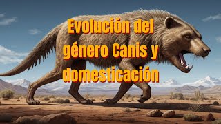 Evolución del género Canis y domesticación  Cane Corso [upl. by Siward]