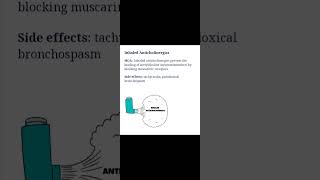 Respiratory Meds  Inhaled Anticholinergics [upl. by Corron]