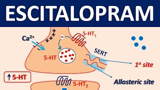 Escitalopram Lexapro  Mechanism precautions side effects amp uses [upl. by Dahcir]