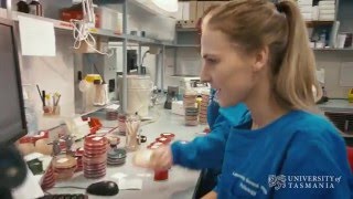 What does a microbiologist do  University of Tasmania [upl. by Catherin991]