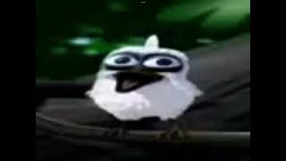 Bird screaming meme [upl. by Egnalos448]