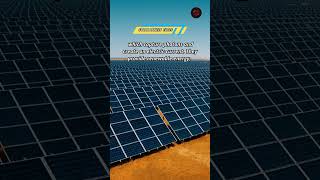 Solar panels facts shorts solarpanel [upl. by Nitz]