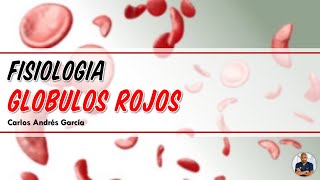 Fisiología  Eritrocitos Síntesis Regulación y Destrucción Hemoglobina y Hierro [upl. by Chainey]