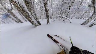 Tree Skiing Run 2 at Catedral in Bariloche Argentina on July 25 2023 [upl. by Ayr]