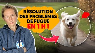 Résolution Des Problèmes De Fugue En 1 h [upl. by Rybma]