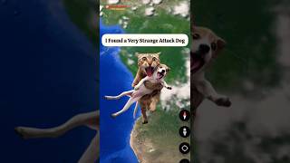 I Found a Very Strange Attack Dog In Real On Google Map And Earth shorts findmapsecret [upl. by Roslyn804]