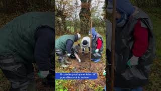 Chantier pédagogique de plantation de haies [upl. by Nakeber]