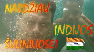 Lietuvio Kelionės Vlogas Indijoje  Džiodpuro Mėlynojo Miesto Turas  Mano Patirtis Indijoje🇮🇳 [upl. by Elysee]