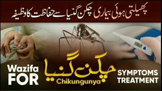 Chikungunya Virus Se Hifazat Ka Wazifa Wazifa For Joint Pain  Rohani Ilaj aor Istekhara [upl. by Rene970]