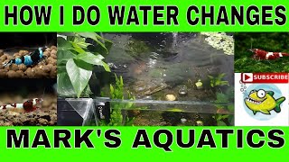 HOW TO CHANGE AND REMINERALIZE YOUR SHRIMP TANK WATER [upl. by Ylime]