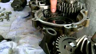 2006 Outlander Gearbox 800 rebuild [upl. by Trillbee882]